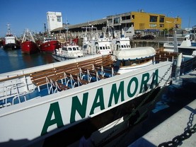 Crucero Anamora, Mar del Plata