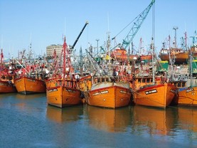 Puerto de Mar del Plata, Mar del Plata